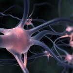 Can Gabapentin Improve Brain Injury Outcomes?