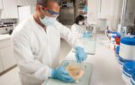 FDA Intensifies Crackdown on GLP-1 Compounding