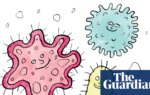 Is it true that … having a diverse microbiome stops you from getting sick? | Health & wellbeing