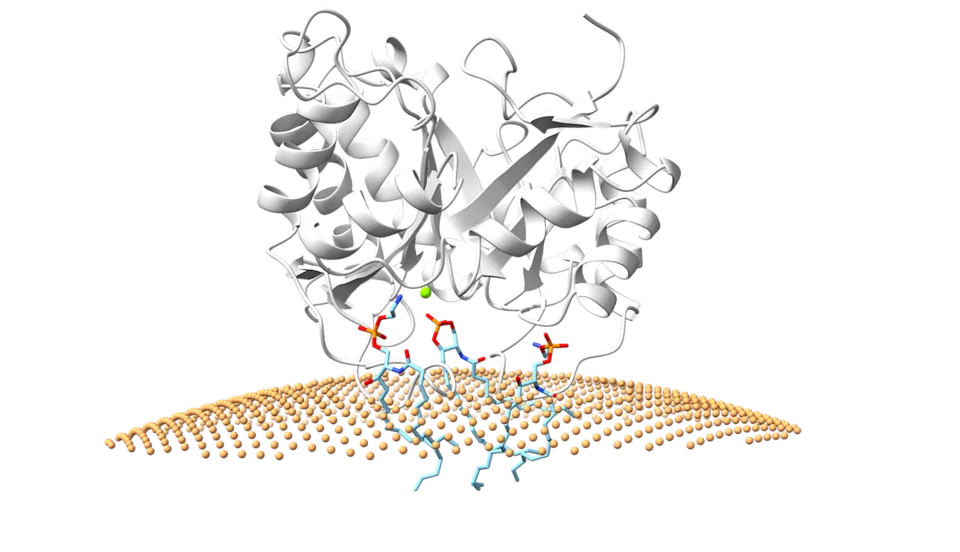 Illustration of a mass of grey spirals and ribbons perched on a yellow surface resembling mesh