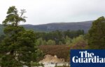MSPs not told about collapse of funding deal for Scottish nature restoration | Scotland