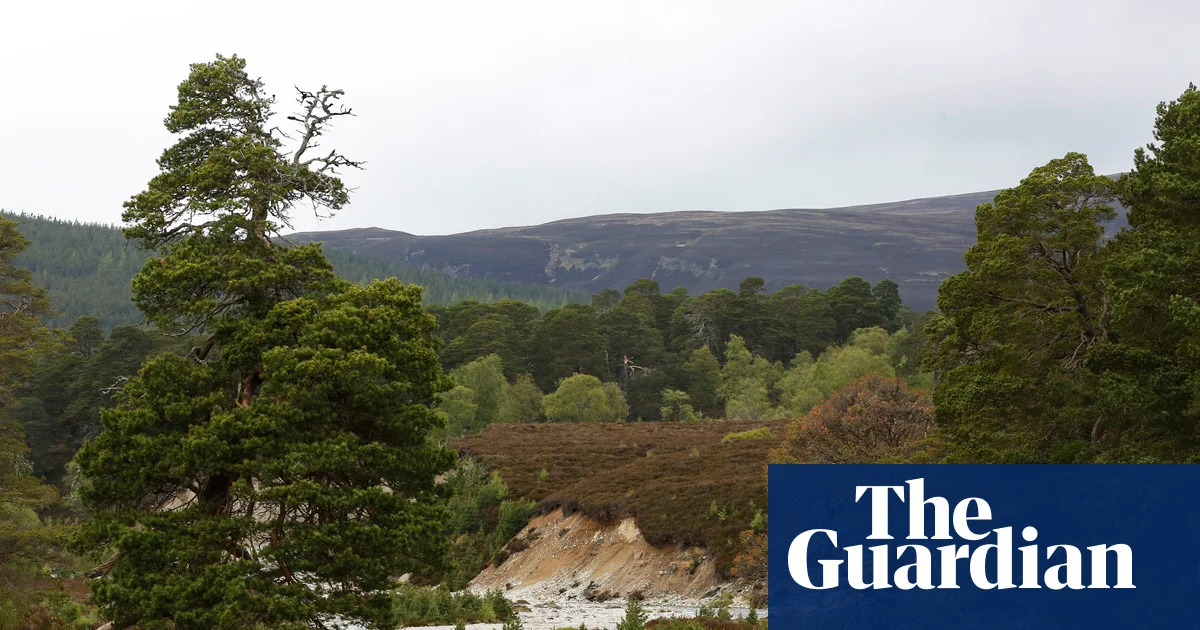 MSPs not told about collapse of funding deal for Scottish nature restoration | Scotland