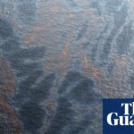 Climate groups sue US government over approval of new BP project in Gulf of Mexico | US news