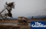 Mud-rich coastline made 2011 Japan tsunami far more destructive, study finds | Japan disaster