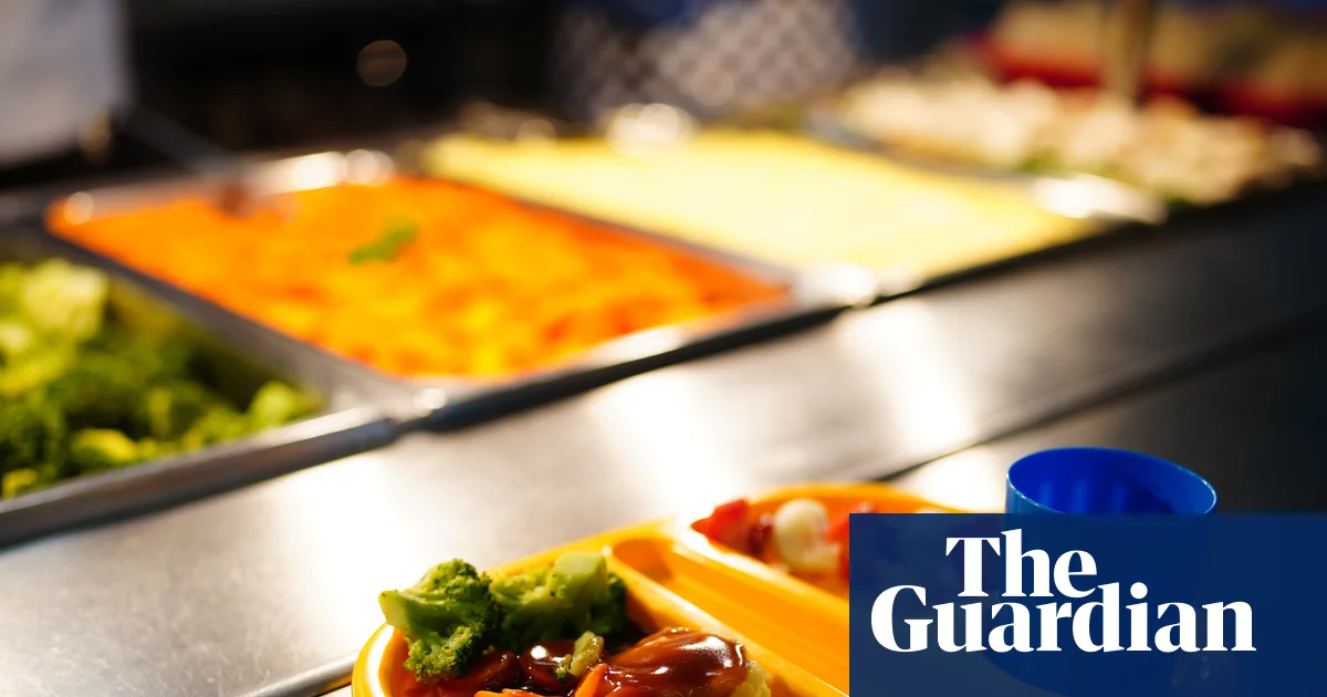 Plan for healthier school meals in England will hit services, say caterers | School meals