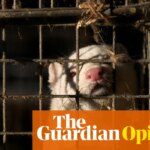 Ban fur farming or risk a new pandemic | Neil Vora