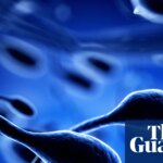 Toxins plus climate harms likely cause of reduced fertility, study finds | Science