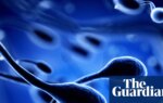 Toxins plus climate harms likely cause of reduced fertility, study finds | Science