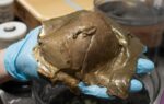 Mystery of golden orb found in depths of ocean off Alaska finally solved: 'Everyone was like, What the heck? What is that?'