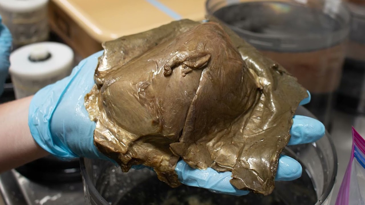 Mystery of golden orb found in depths of ocean off Alaska finally solved: 'Everyone was like, What the heck? What is that?'