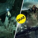 This Harry Potter Quiz Will Really Test You