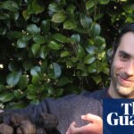 Australia is the world’s fourth-largest black truffle producer. Now scientists may have unearthed why | Farming