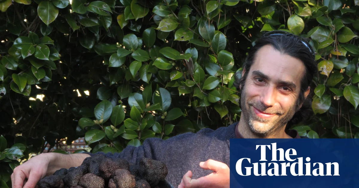 Australia is the world’s fourth-largest black truffle producer. Now scientists may have unearthed why | Farming