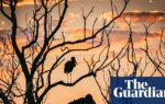 Wildlife and humans thriving in Unesco-protected sites | Unesco