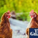 Chlorinated chicken with a side of safety warnings | Food safety
