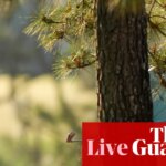 The Masters 2026: day two golf updates from Augusta National – live | The Masters