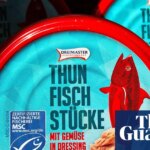 MSC’s ‘blue tick’ scheme creates illusion of ethically sourced fish, study claims | Fishing