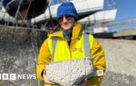 Marine makeover for yacht club's seawall