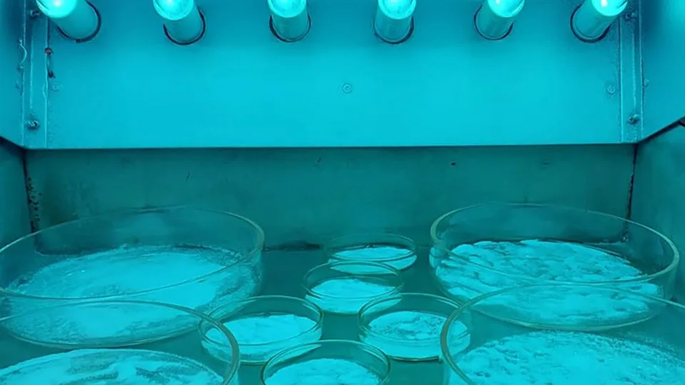 PVC particles undergoing UVC aging in the lab to break them down. - Dr. Adriano Gonçalves dos Reis