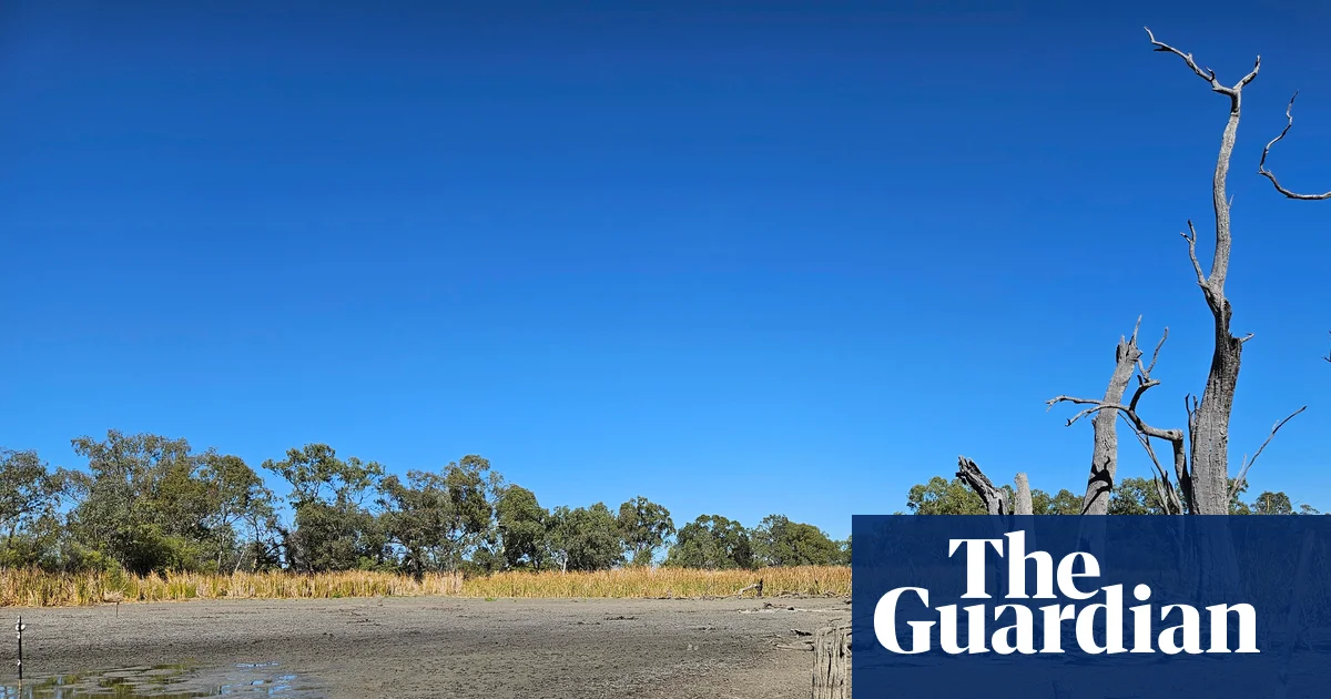 Governments failed to deliver $160m of river improvements including for now-parched NSW wetlands, report finds | Environment