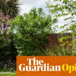 A messy garden is a glorious garden. We need to stop tidying, titivating and paving them over | Emma Beddington