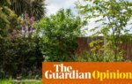 A messy garden is a glorious garden. We need to stop tidying, titivating and paving them over | Emma Beddington