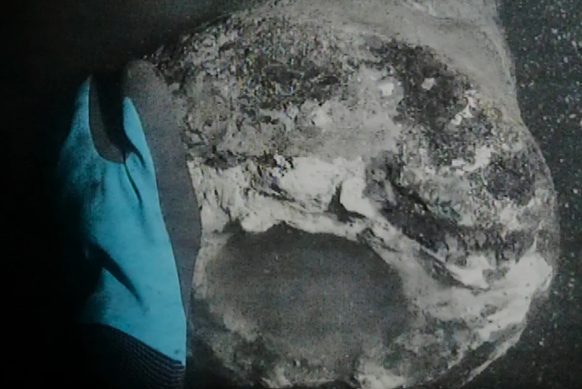 Danish warship sunk by Nelson's British fleet discovered after 225 years