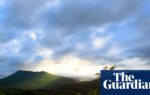 ‘Illegal’ forest service overhaul risks causing ‘chaos’ across US public lands, union claims | US news