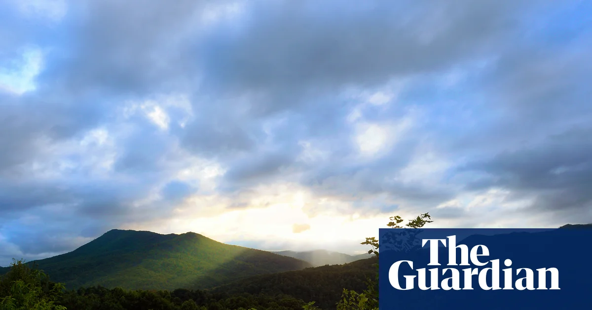 ‘Illegal’ forest service overhaul risks causing ‘chaos’ across US public lands, union claims | US news
