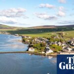 More than 15m oysters to be released in the North Sea for UK rewilding project | Marine life