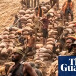 Clean energy switch must not be excuse to plunder Indigenous lands, say leaders | Indigenous peoples