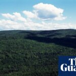 What counts as the woods? Judge axes Nova Scotia’s ban that defied ‘commonsense definitions’ | Canada