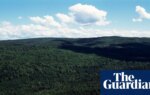 What counts as the woods? Judge axes Nova Scotia’s ban that defied ‘commonsense definitions’ | Canada