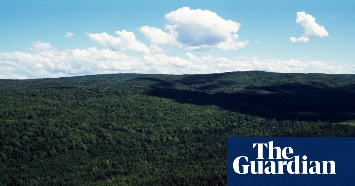 What counts as the woods? Judge axes Nova Scotia’s ban that defied ‘commonsense definitions’ | Canada