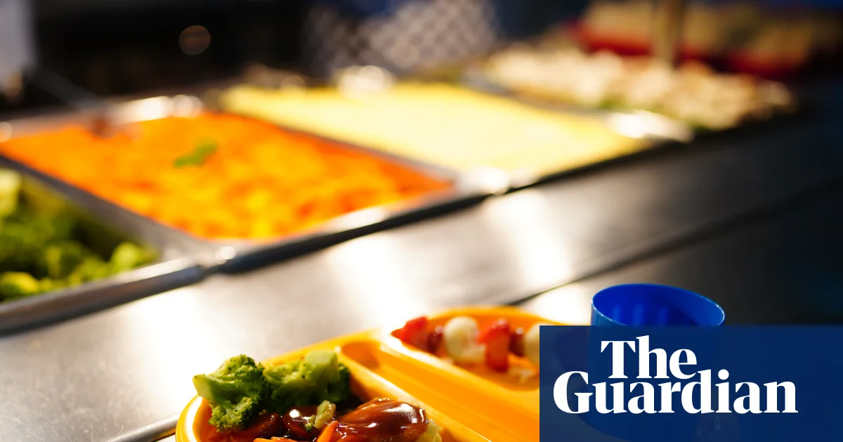 Pupils in England may reject new healthier school lunches, pilot suggests | School meals