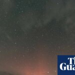 Country diary: The skies here are busy with satellites and fieldfares | Birds