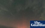 Country diary: The skies here are busy with satellites and fieldfares | Birds