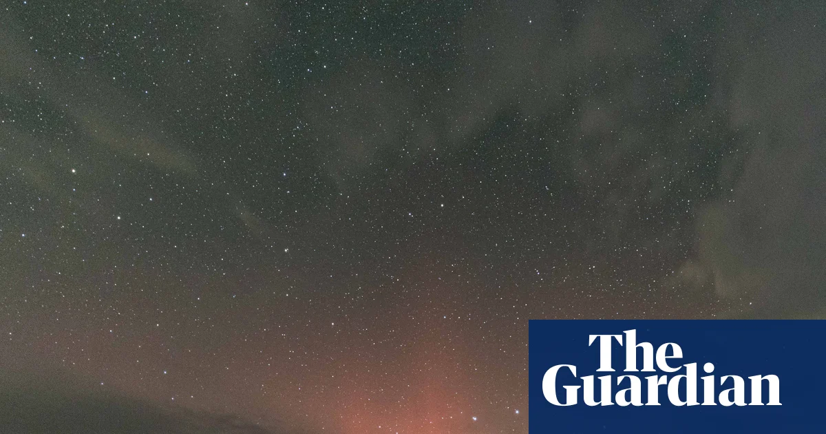 Country diary: The skies here are busy with satellites and fieldfares | Birds