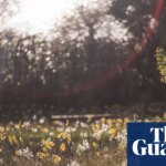 A new haven for wildlife: London’s Queen Elizabeth II garden opens to the public – in pictures | London
