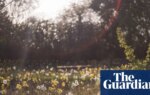 A new haven for wildlife: London’s Queen Elizabeth II garden opens to the public – in pictures | London
