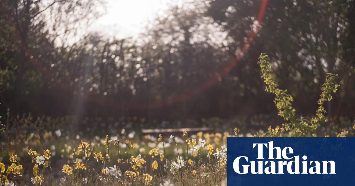 A new haven for wildlife: London’s Queen Elizabeth II garden opens to the public – in pictures | London
