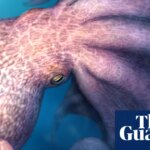 ‘Kraken-like’ giant octopuses 100m years ago crunched bones of prey | Palaeontology