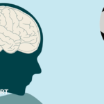 Footballs could be designed to reduce impact of heading - scientists