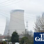 Burning wood for power worse for climate than gas equivalent, report finds | Energy