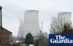 Burning wood for power worse for climate than gas equivalent, report finds | Energy