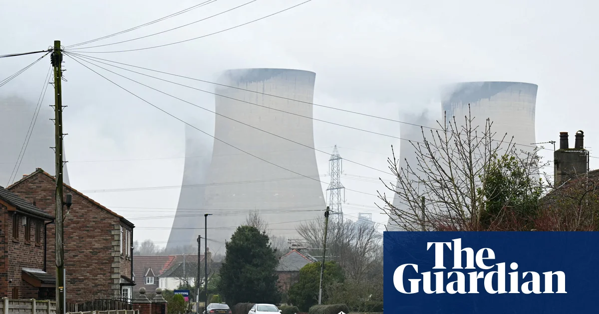 Burning wood for power worse for climate than gas equivalent, report finds | Energy