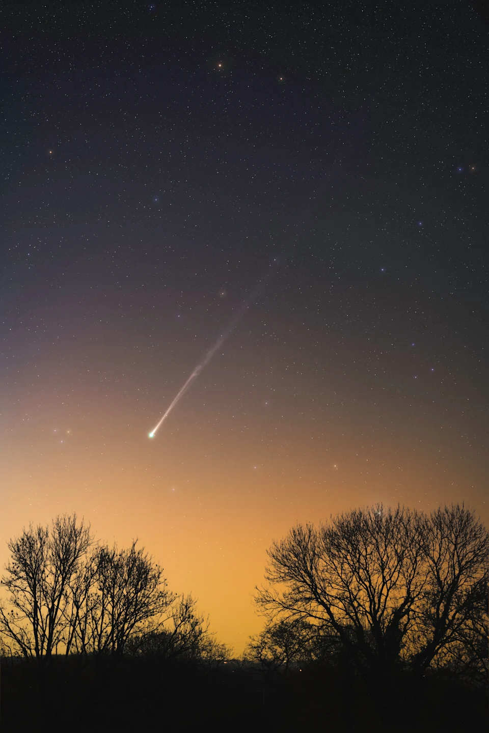 A comet is pictured shining in a field of multicolored stars above a silhouetted horizon lined with trees at night. A warm yellow-orange glow suffuses the horizon.