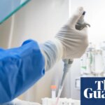 ‘Traceability is vital’: labs test thousands of unregulated substances amid peptide craze | Weight-loss drugs