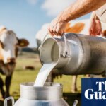 Making a splash: demand for raw and ‘brewed’ milk growing in UK | Milk