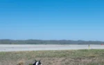 Meet the real-life paw patrol at a W.Va. airport: Hercules and Ned